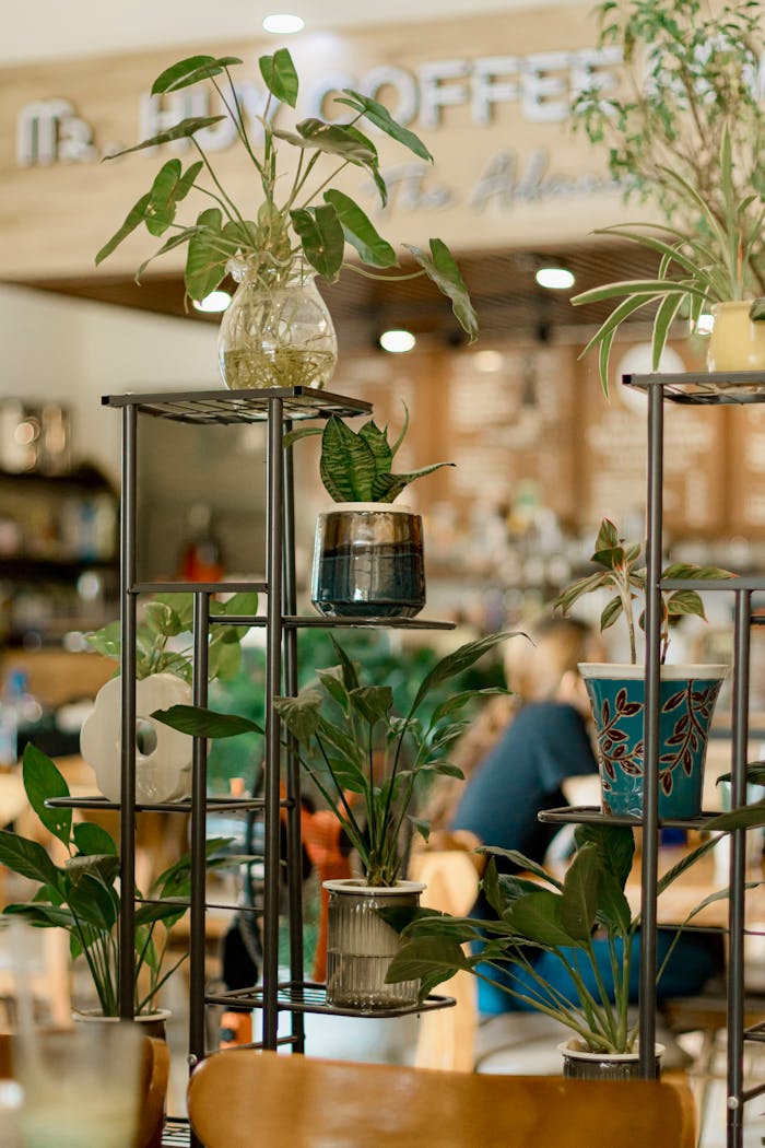 Indoor potted plants in a stylish cafe create a calming, green ambiance.